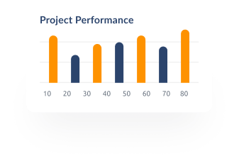 project performance